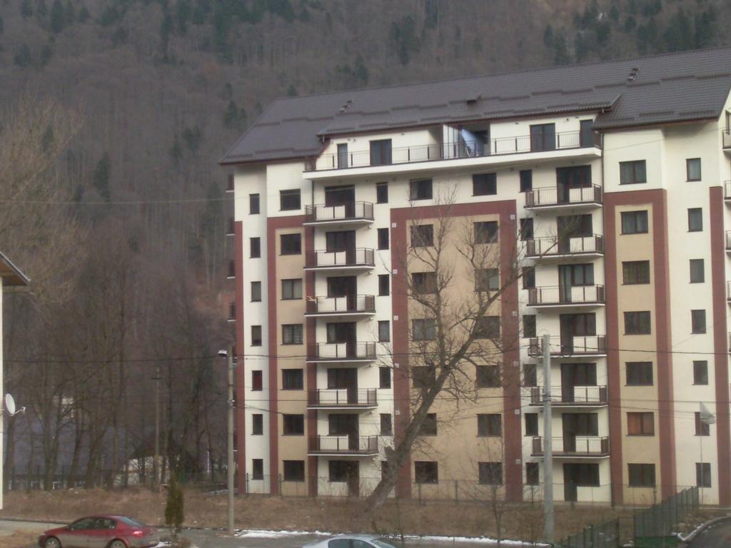 Apartamento Mountain View Nest Sinaia Exterior foto